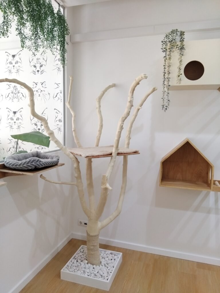 Instalações do ginásio no Miau Boutique Hotel