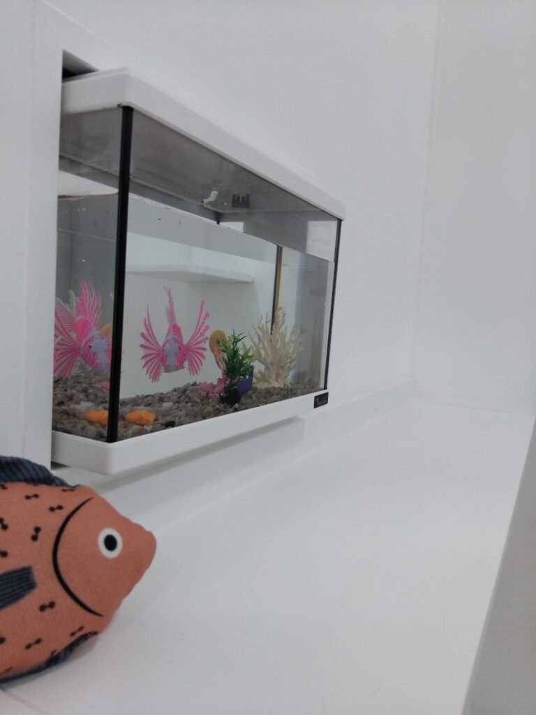 Instalações dos quartos do Miau Boutique Hotel