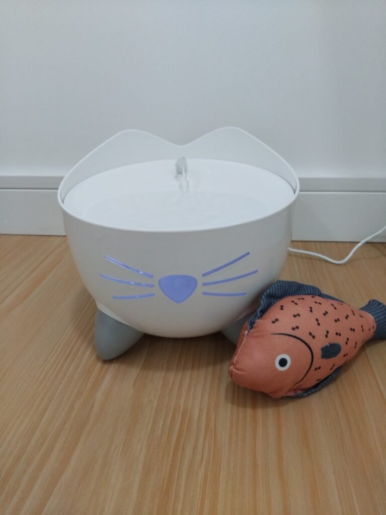 Instalações dos quartos do Miau Boutique Hotel