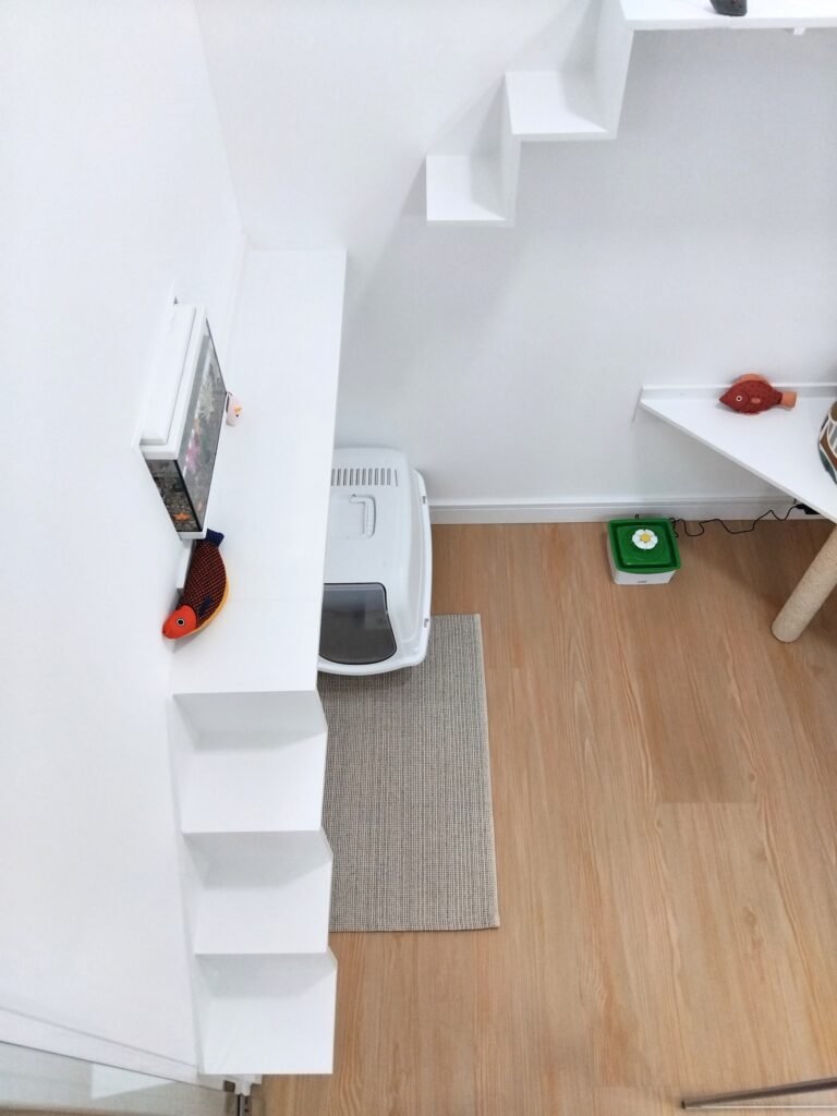 Instalações dos quartos do Miau Boutique Hotel