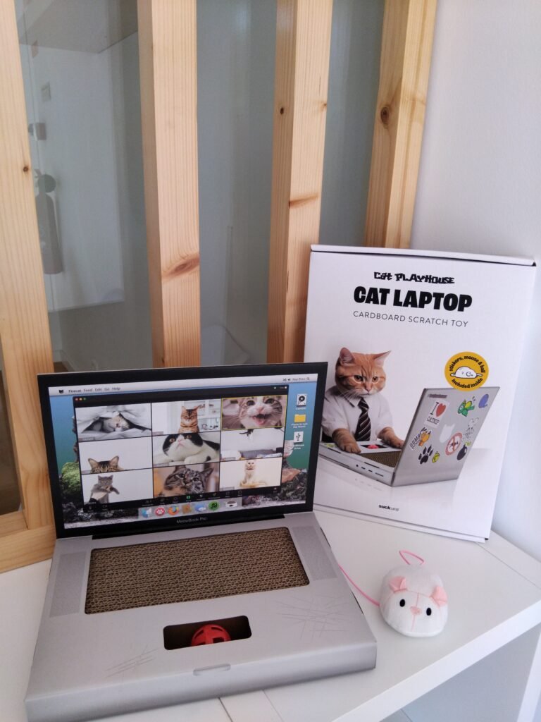 Instalações da boutique no Miau Boutique Hotel