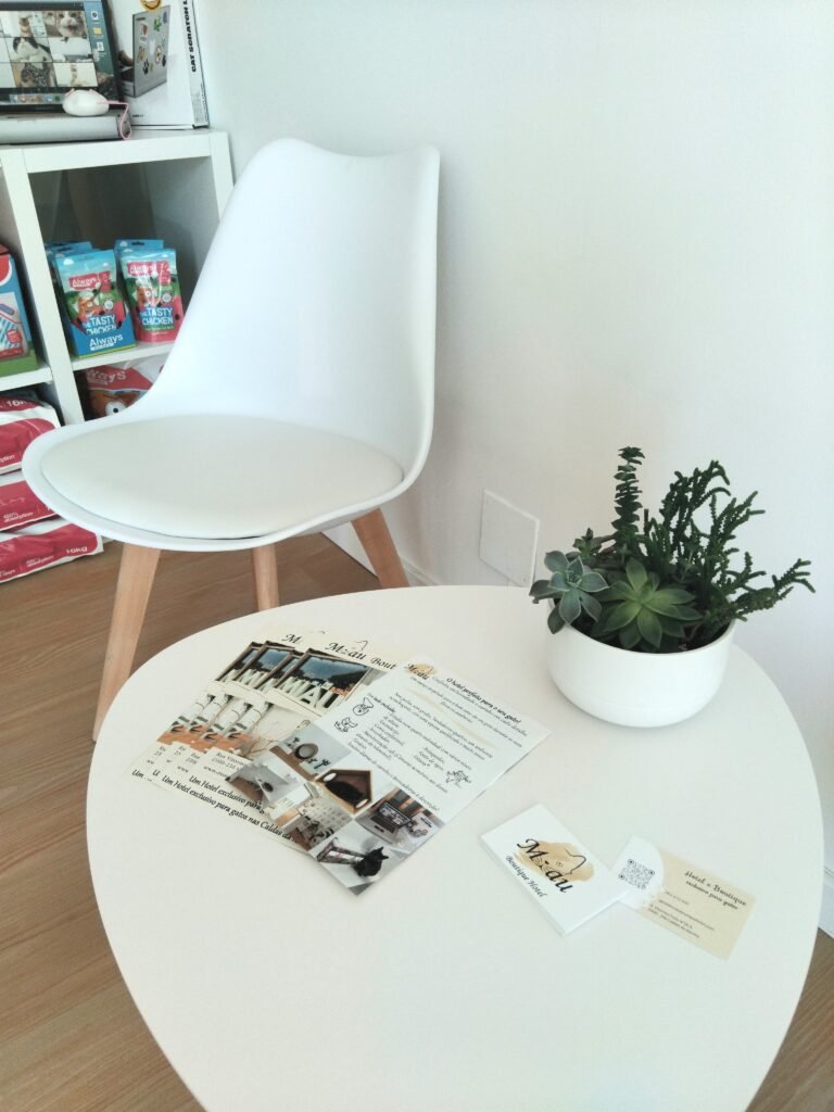 Instalações da boutique no Miau Boutique Hotel