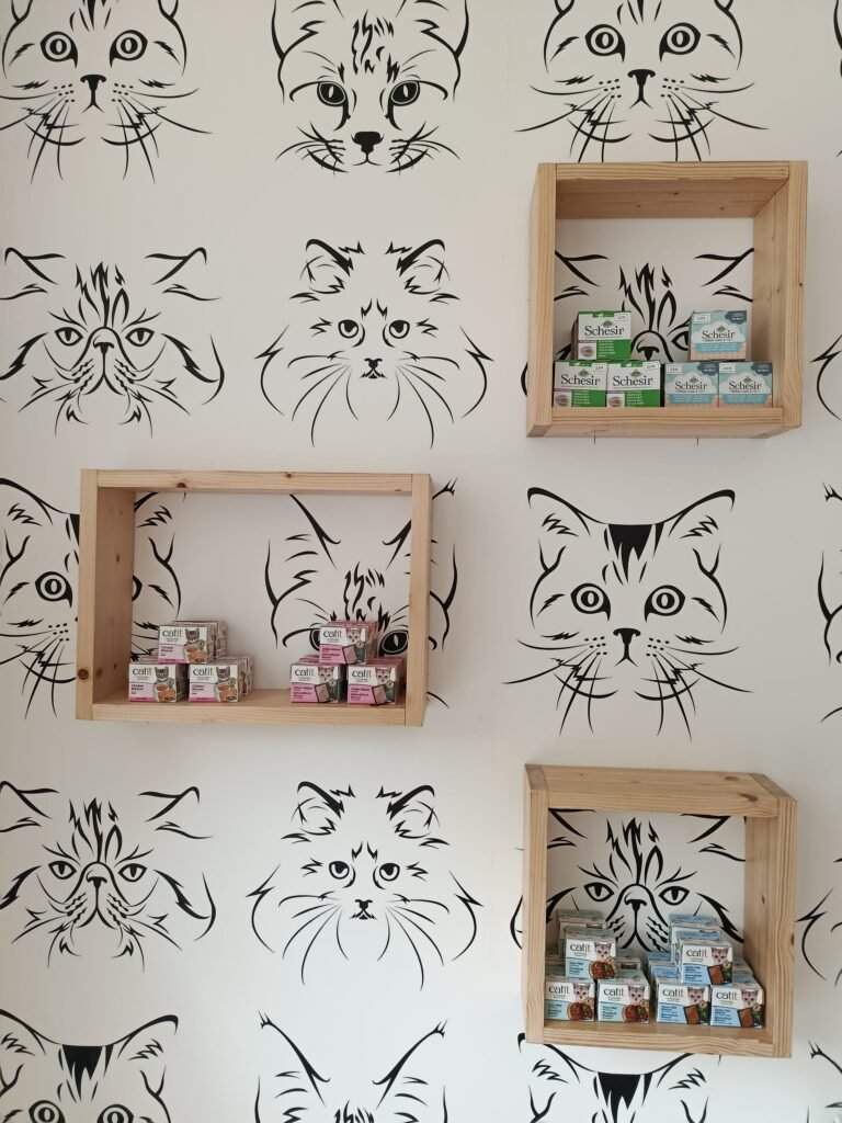 Instalações da boutique no Miau Boutique Hotel