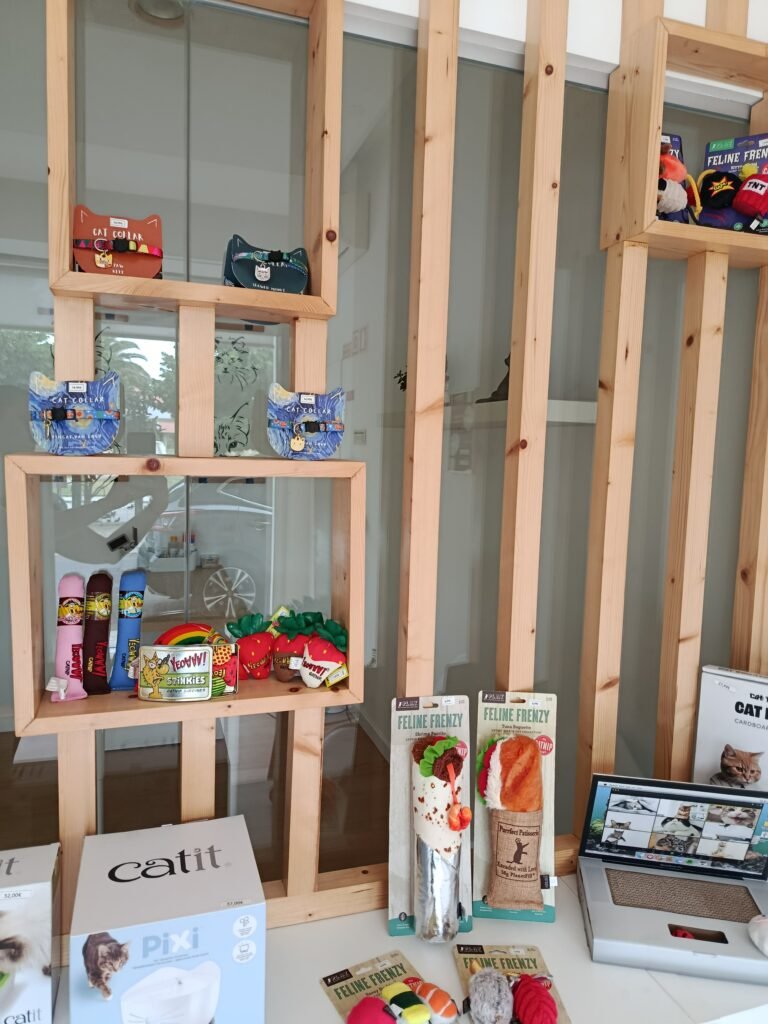 Instalações da boutique no Miau Boutique Hotel