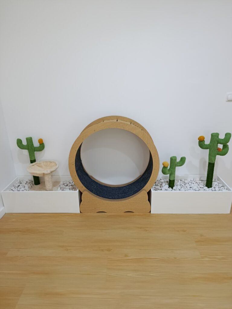 Instalações do ginásio no Miau Boutique Hotel