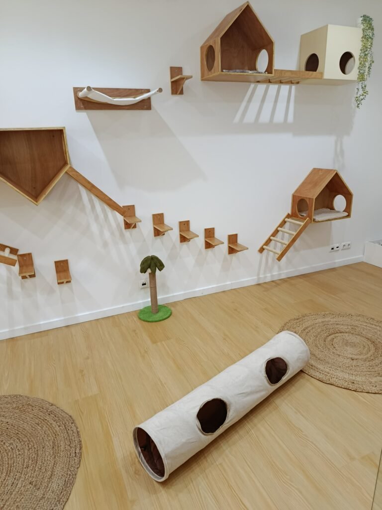 Instalações do ginásio no Miau Boutique Hotel