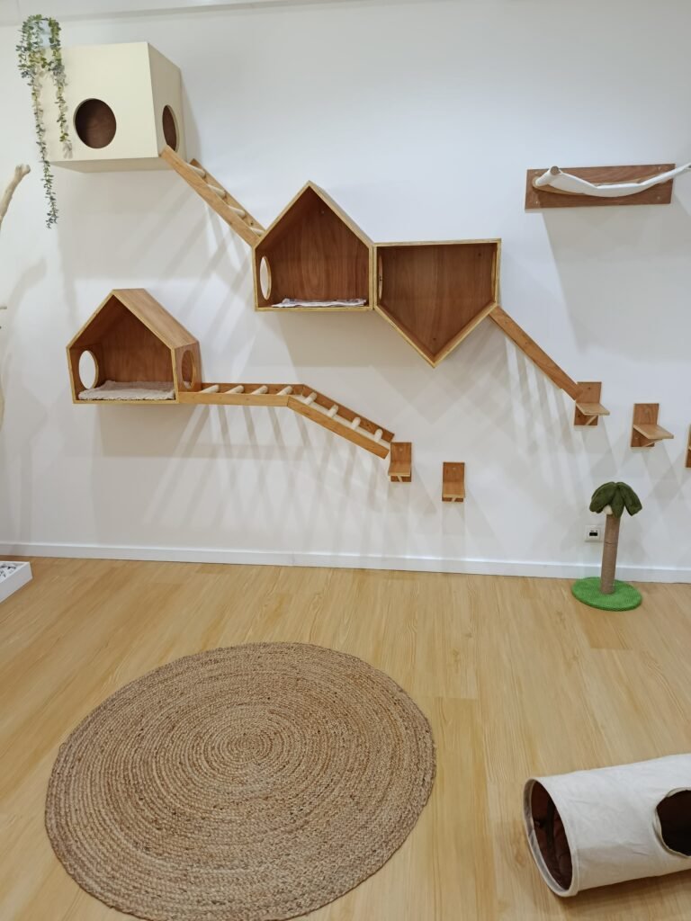 Instalações do ginásio no Miau Boutique Hotel