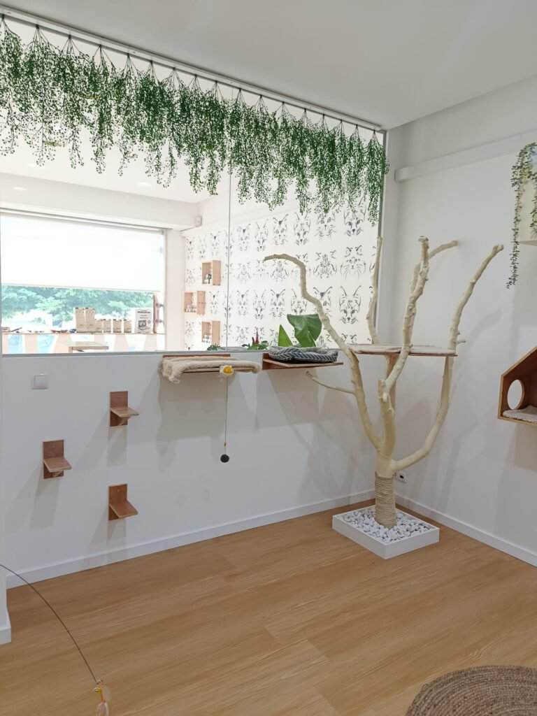 Instalações do ginásio no Miau Boutique Hotel