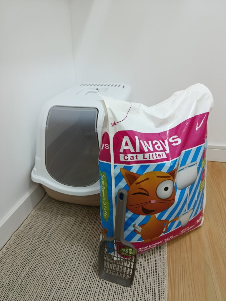 Areia para gatos utilizada nas casas de banho no Miau Boutique Hotel